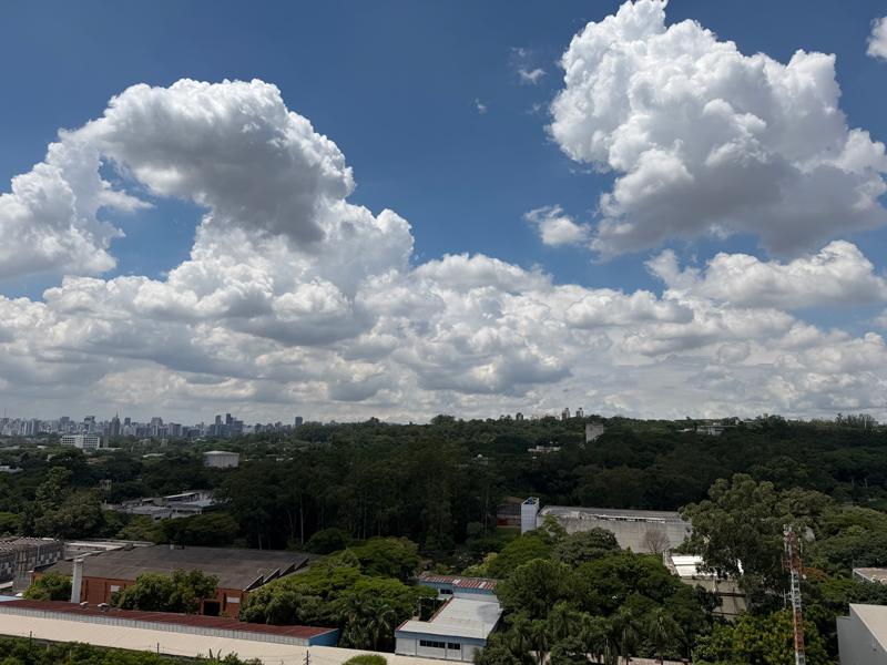 The University of São Paulo's campus