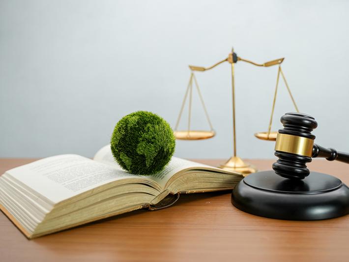 Book, scales, gavel, fuzzy globe, environmental justice concept