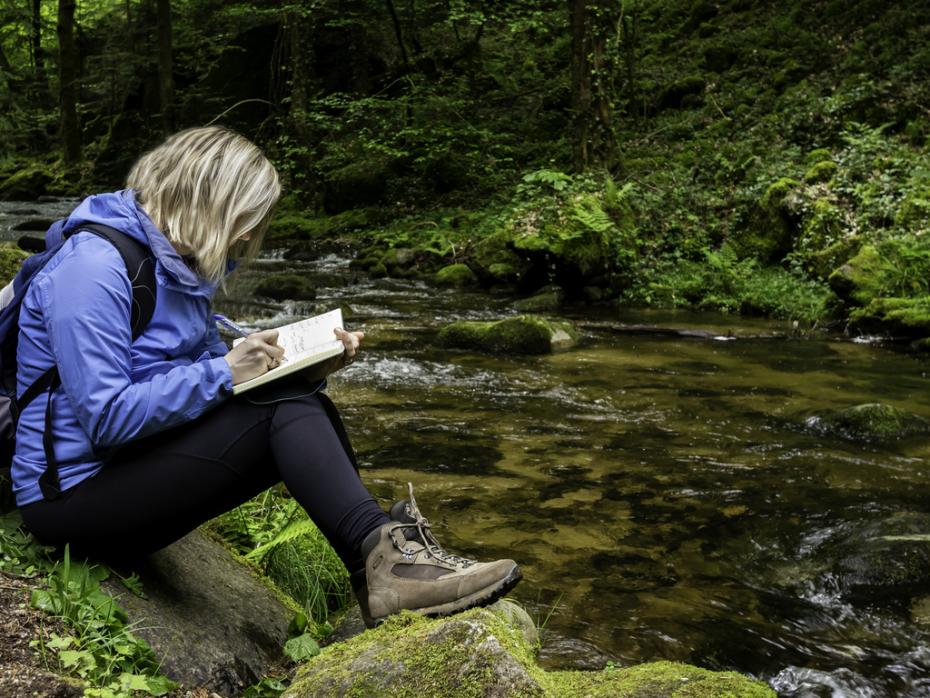 A student on a field trip in the forest taking notes 