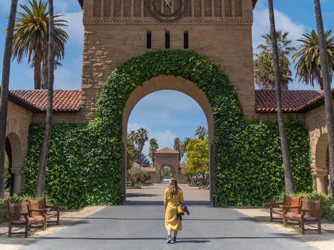 Stanford University illustrating article about terminology for teaching and research in the US