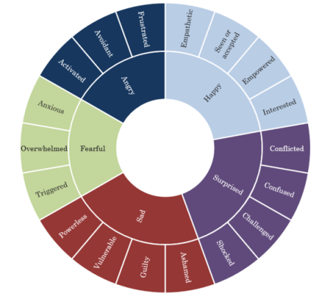 Figure 1: The range of emotional responses that students reported when studying emotionally challenging content (Downes et al 2022)