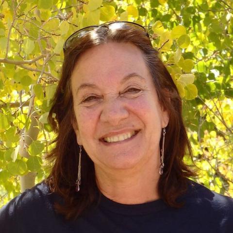 Andrea Feldman is coordinator for English as a second language writers and a teaching professor of distinction at the University of Colorado Boulder.