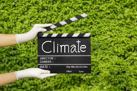 Clapperboard in front of greenery