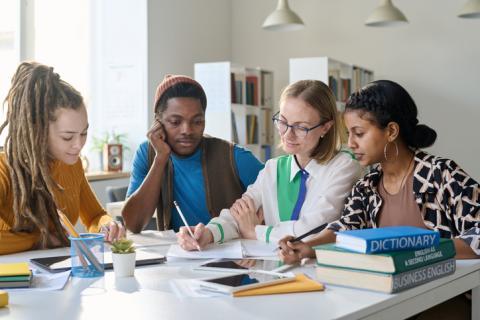 Students work on a project together