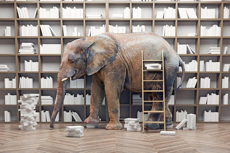 Illustration of an elephant in a library