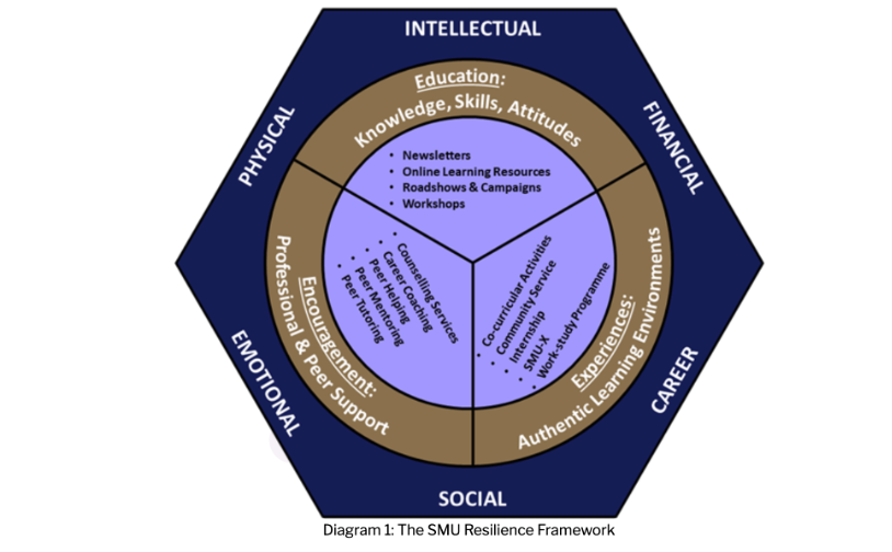 SMU Resilience Framework