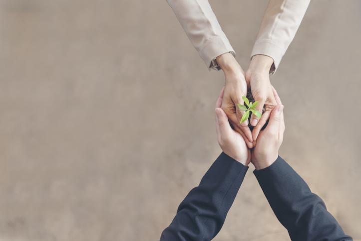 Two people gently hold a tiny sprouting plant