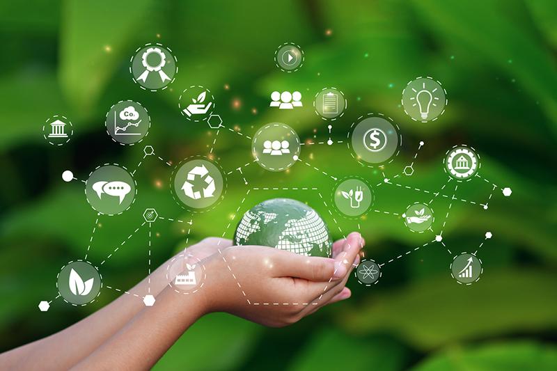 sustainability concept