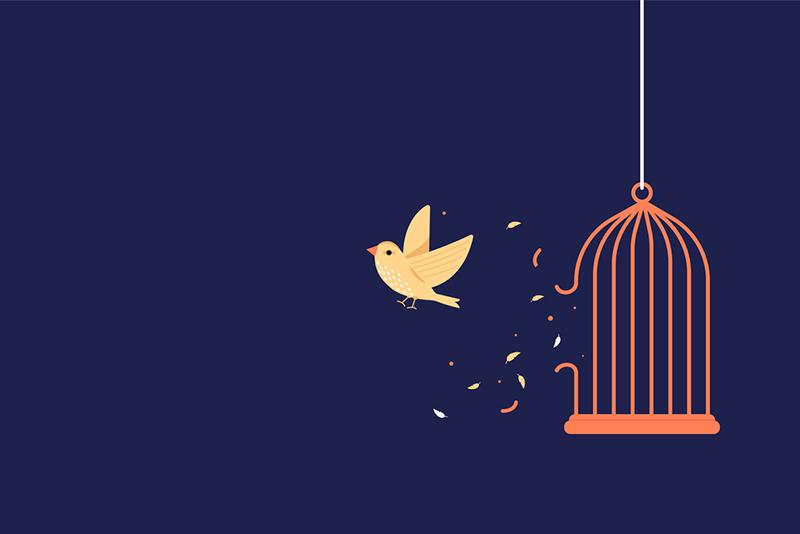 Illustration of bird released from cage
