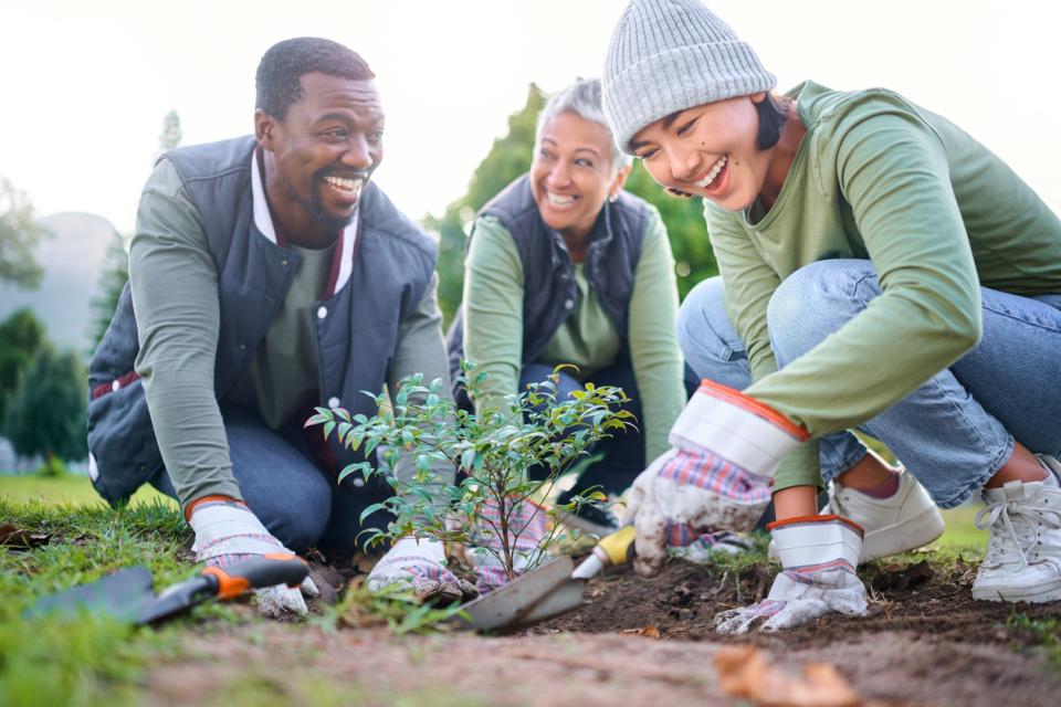 A group of students planting trees