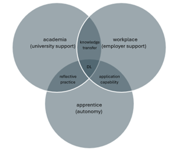 Autonomy paradox Venn diagram