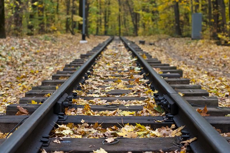 Leaves on railway tracks
