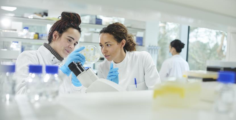 Researchers discuss experiments in a lab