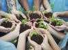 Hands clutching soil with green shoots