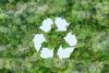 Circular economy concept