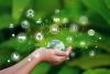 sustainability concept