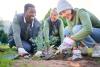 A group of students planting trees