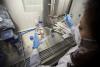 Female scientist working in a fume hood