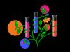 Greener lab practices for higher education